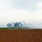 Éléments pour une stratégie écosocialiste [Podcast]