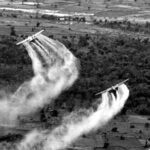 Guerre et écologie : l’agent orange tue encore