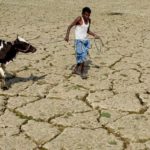 Le capitalisme contre la vie sur la Terre