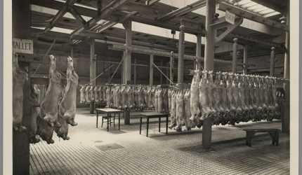 1108wp-4-abattoirs-et-marche-aux-bestiaux-de-la-mouche-tony-garnier-2-f32c05-1024