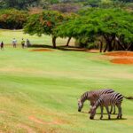 Le golf au Kenya : un attribut d’une bourgeoisie mondiale imaginée
