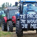 Dossier : l’agro-capitalisme contre les paysan·nes